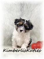 processed/e91064b1-2a53-4527-89d7-d13815980be1/listing/72b4e02d-ef71-4b46-bfce-4001537a95ee/675421f6-6923-4ed4-a94a-ded6f0fa0235