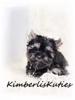 processed/e91064b1-2a53-4527-89d7-d13815980be1/listing/73d520b1-d228-441c-bbcb-07a16f86e5d9/9231543c-13fe-4d86-9cbe-237b543f59c1