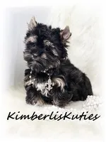 processed/e91064b1-2a53-4527-89d7-d13815980be1/listing/73d520b1-d228-441c-bbcb-07a16f86e5d9/beda912a-fe7a-4115-a90f-2495ddd1fdda