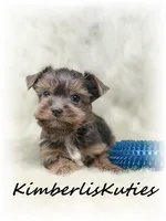 processed/e91064b1-2a53-4527-89d7-d13815980be1/listing/751311a7-69ad-4976-9bf9-67f97ab0e659/39008dc5-23b9-4d65-9f84-eacb6f58f54f