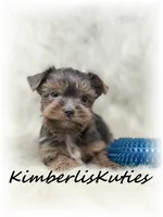 processed/e91064b1-2a53-4527-89d7-d13815980be1/listing/751311a7-69ad-4976-9bf9-67f97ab0e659/9182217b-e973-466c-852a-af97fbd0ba54