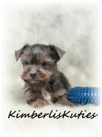 processed/e91064b1-2a53-4527-89d7-d13815980be1/listing/751311a7-69ad-4976-9bf9-67f97ab0e659/ffffe628-0a4e-4f2c-bc81-7e83c223ab27