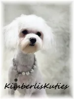 processed/e91064b1-2a53-4527-89d7-d13815980be1/listing/84aced16-eeec-4a2e-acff-ea08e62e9200/193ebcfa-4c6d-4ee3-8f8c-c2dc919b0ecc