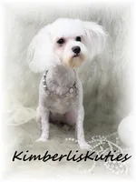 processed/e91064b1-2a53-4527-89d7-d13815980be1/listing/84aced16-eeec-4a2e-acff-ea08e62e9200/34f040d4-5292-4ddf-a5f1-15506b6e2fdc