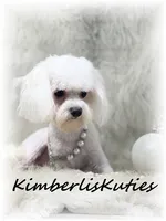 processed/e91064b1-2a53-4527-89d7-d13815980be1/listing/84aced16-eeec-4a2e-acff-ea08e62e9200/3d507593-ed12-4b6d-8893-40eda9a77518