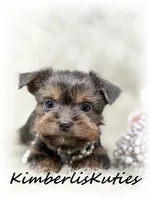 processed/e91064b1-2a53-4527-89d7-d13815980be1/listing/c5696187-3699-4a11-b0f4-784fe6448e3c/681a3610-8259-4815-a560-6243d31ef8cd