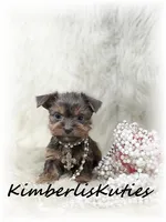 processed/e91064b1-2a53-4527-89d7-d13815980be1/listing/c5696187-3699-4a11-b0f4-784fe6448e3c/6d28d94e-3446-49e8-9b62-9aa1bfd70e36