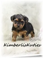 processed/e91064b1-2a53-4527-89d7-d13815980be1/listing/ce843f4c-68b7-4d12-b103-c22905a35dc6/0383bed2-e9fe-42c9-b068-31bb17e0a937