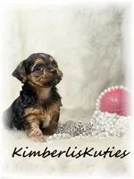 processed/e91064b1-2a53-4527-89d7-d13815980be1/listing/ce843f4c-68b7-4d12-b103-c22905a35dc6/648cd996-295c-49b6-b764-c758e936512a