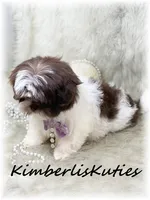 processed/e91064b1-2a53-4527-89d7-d13815980be1/listing/eb069906-e4d9-4080-b172-ba956a71246b/5d5ac104-1788-421b-b7e2-2aaae9a3edfd