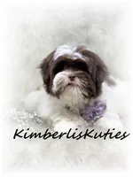 processed/e91064b1-2a53-4527-89d7-d13815980be1/listing/eb069906-e4d9-4080-b172-ba956a71246b/8caa2483-6fbe-436f-b94d-b87cc4cdd0f4