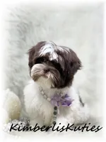 processed/e91064b1-2a53-4527-89d7-d13815980be1/listing/eb069906-e4d9-4080-b172-ba956a71246b/aad5cfe8-c2d8-4201-8765-c54673e030aa