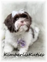 processed/e91064b1-2a53-4527-89d7-d13815980be1/listing/eb069906-e4d9-4080-b172-ba956a71246b/c719ba6a-eb30-48b9-9c6a-92f5180d50fc