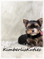 processed/e91064b1-2a53-4527-89d7-d13815980be1/listing/ef95253e-c592-48a2-99a4-eb39b2bd9467/1b64cc51-ca77-44b7-a82b-5a14b8890830