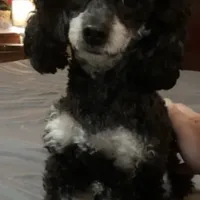 processed/e92ab898-5d24-4a6c-8e10-dba5f063c774/facility/09ea2fe0-a7fd-4142-a27d-3b0aab305e63