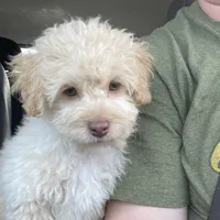 processed/e92ab898-5d24-4a6c-8e10-dba5f063c774/facility/332c0349-6aae-4748-9281-fdae6b36d252