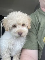 processed/e92ab898-5d24-4a6c-8e10-dba5f063c774/facility/332c0349-6aae-4748-9281-fdae6b36d252