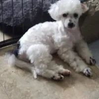 processed/e92ab898-5d24-4a6c-8e10-dba5f063c774/facility/67b6986e-4181-468f-8b37-e7d8d9e8e005