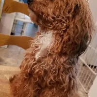 processed/e92ab898-5d24-4a6c-8e10-dba5f063c774/facility/74f08652-89a1-4b8a-b823-dd1cb7084cdc