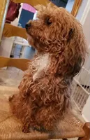 processed/e92ab898-5d24-4a6c-8e10-dba5f063c774/facility/74f08652-89a1-4b8a-b823-dd1cb7084cdc