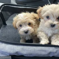 processed/e92ab898-5d24-4a6c-8e10-dba5f063c774/facility/97033884-26d4-44bb-9411-09a0ed7104b7