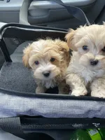 processed/e92ab898-5d24-4a6c-8e10-dba5f063c774/facility/97033884-26d4-44bb-9411-09a0ed7104b7