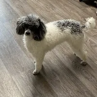 processed/e92ab898-5d24-4a6c-8e10-dba5f063c774/facility/a6a88312-50fa-4eb5-9b4c-fa159289454d