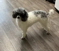 processed/e92ab898-5d24-4a6c-8e10-dba5f063c774/facility/a6a88312-50fa-4eb5-9b4c-fa159289454d