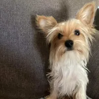 processed/e92ab898-5d24-4a6c-8e10-dba5f063c774/facility/af1aae07-9b63-4c5a-9d54-b90a18049dfe