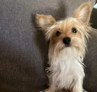 processed/e92ab898-5d24-4a6c-8e10-dba5f063c774/facility/af1aae07-9b63-4c5a-9d54-b90a18049dfe