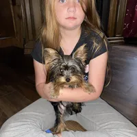 processed/e92ab898-5d24-4a6c-8e10-dba5f063c774/facility/da2f527a-6e9b-4858-804b-d09e13a77fd3