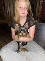 processed/e92ab898-5d24-4a6c-8e10-dba5f063c774/facility/da2f527a-6e9b-4858-804b-d09e13a77fd3