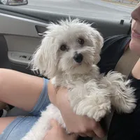 processed/e92ab898-5d24-4a6c-8e10-dba5f063c774/facility/e46e0cdf-132d-4cd7-9e4e-43919083809a