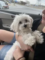 processed/e92ab898-5d24-4a6c-8e10-dba5f063c774/facility/e46e0cdf-132d-4cd7-9e4e-43919083809a