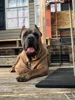 processed/e92d0810-2153-4a5f-ae20-5ec6b961fc4b/facility/4af0e19c-3f39-4c13-8a71-8875f58f18e9