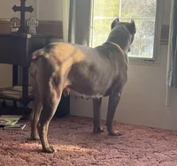 processed/e92d0810-2153-4a5f-ae20-5ec6b961fc4b/facility/a578ac86-425a-4d14-8731-8694468b8315