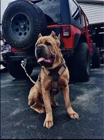 processed/e92d0810-2153-4a5f-ae20-5ec6b961fc4b/facility/ccc8b3ef-749e-433f-ac80-ba53219f7aa7