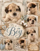 Any, a male Yorkshire Terrier for sale in Brunswick, GA – 1 of 5
