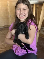 processed/e9326e0a-1578-4e8d-9d47-f1c4778af2b4/facility/c525839f-c4fe-4ef4-9dfb-ad85be463bc7