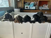 processed/e9326e0a-1578-4e8d-9d47-f1c4778af2b4/facility/cd76e03d-a8d5-40d1-b88b-0295f36074c8