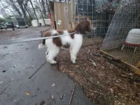 processed/e933d4c0-8ac9-48be-8d2e-7115b972e350/listing/2d2e906c-3c55-4364-8cd9-bbcc3df2e98b/0375fbc5-02a3-4537-89ce-36ceebc12d57