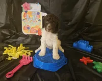 processed/e933d4c0-8ac9-48be-8d2e-7115b972e350/listing/2d2e906c-3c55-4364-8cd9-bbcc3df2e98b/19189821-3dfa-4933-911a-9ef3c871d16b