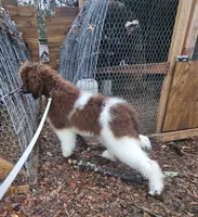 processed/e933d4c0-8ac9-48be-8d2e-7115b972e350/listing/2d2e906c-3c55-4364-8cd9-bbcc3df2e98b/39201a51-8493-42f7-8a24-4eeb91ce49e5