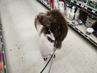 processed/e933d4c0-8ac9-48be-8d2e-7115b972e350/listing/2d2e906c-3c55-4364-8cd9-bbcc3df2e98b/6ad99535-b03c-4536-bef0-8a25c394592c