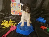 processed/e933d4c0-8ac9-48be-8d2e-7115b972e350/listing/2d2e906c-3c55-4364-8cd9-bbcc3df2e98b/b1c97b86-96f9-46a7-b334-2c4e44fe75e7