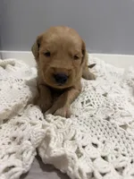 processed/e93b71a7-7f17-4f0e-bb68-e30d225cc0ab/listing/40c20722-86c2-46a4-ab55-22ab8599a422/02f13810-192f-415e-98dd-ca01ebaef1d9