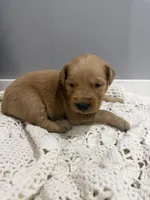 processed/e93b71a7-7f17-4f0e-bb68-e30d225cc0ab/listing/40c20722-86c2-46a4-ab55-22ab8599a422/5d8b674b-3c83-4ce2-a80b-005e01cef87e