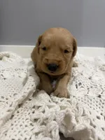 processed/e93b71a7-7f17-4f0e-bb68-e30d225cc0ab/listing/40c20722-86c2-46a4-ab55-22ab8599a422/bfd6388c-6cde-4acd-ad35-b6501b4cc7d1