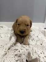 processed/e93b71a7-7f17-4f0e-bb68-e30d225cc0ab/listing/40c20722-86c2-46a4-ab55-22ab8599a422/c54ad2c4-2b06-4e34-b55f-062ad678313e