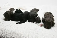 processed/e942cb09-cfcc-4f17-8f76-1c6cee358764/listing/c3c92e20-f811-4111-84a6-320e85926438/a6092df2-f2cd-4736-8d6c-3340a5fcd4a8